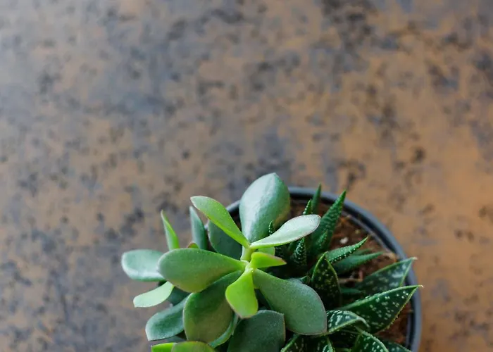 Apartman Cozy Top-floor With Views Vilnius