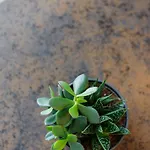 Apartment Cozy Top-floor With Views Vilnius